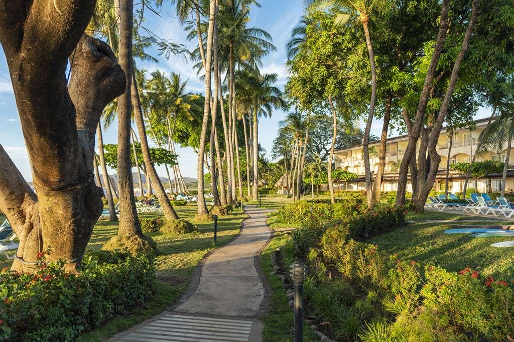 Hotel Tamarindo Diria Beach Resort Einrichtungen foto